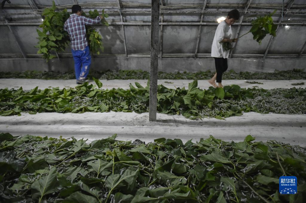 李逵捕鱼游戏下载